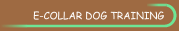 E-Collar - Educator Dog Training Collars